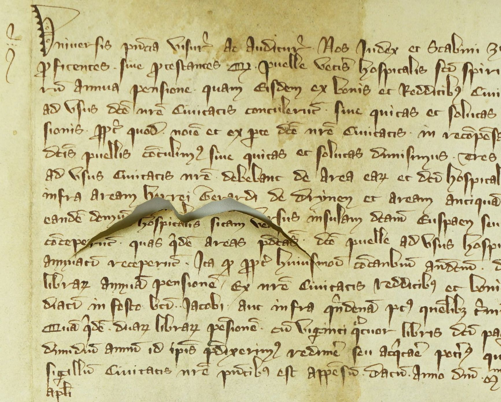 Charter 3045 (fragment): omgekrulde snede